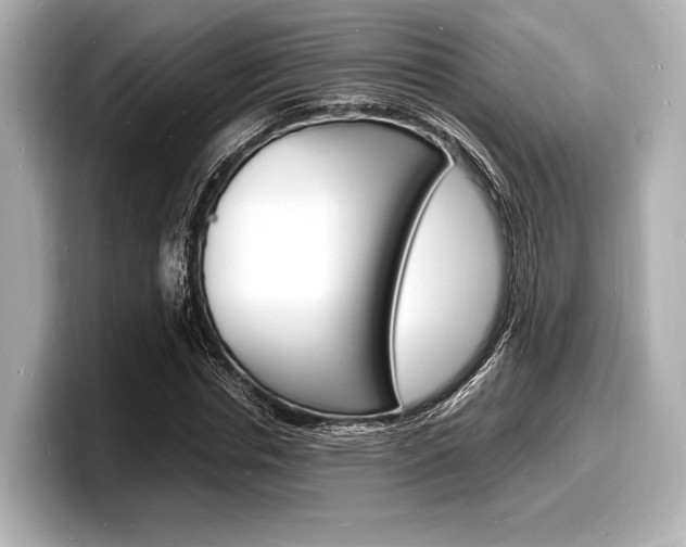 X0000098180826200804241028