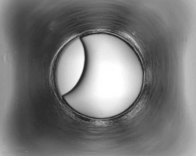 X0000098180827200804241028