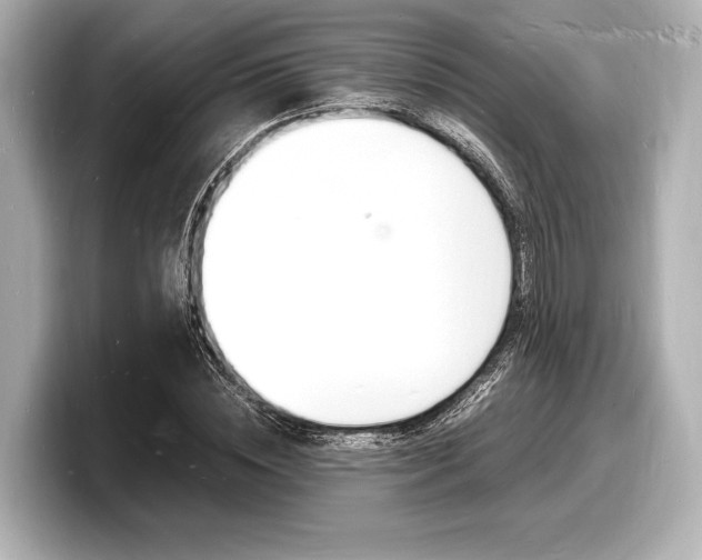 X0000098180828200804241028