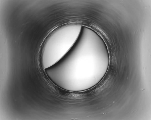 X0000098180829200804241028