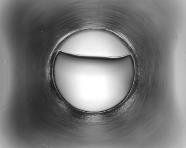 X0000098180830200804241028