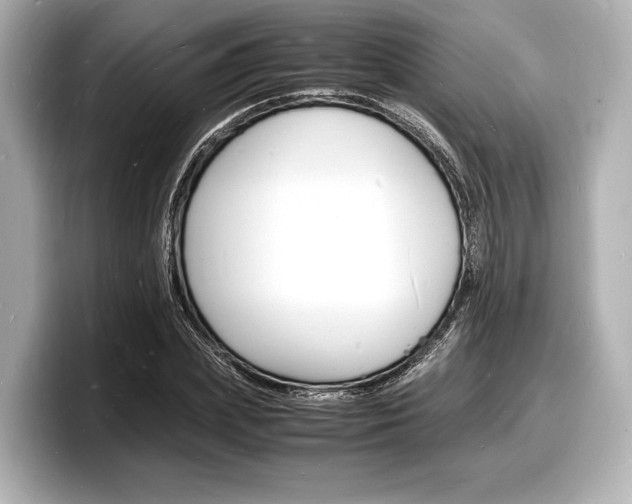 X0000098180831200804241028