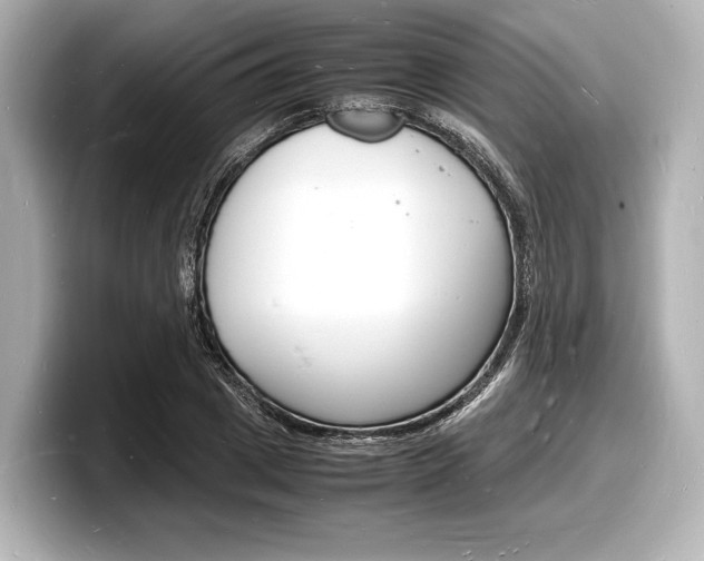 X0000098180833200804241028