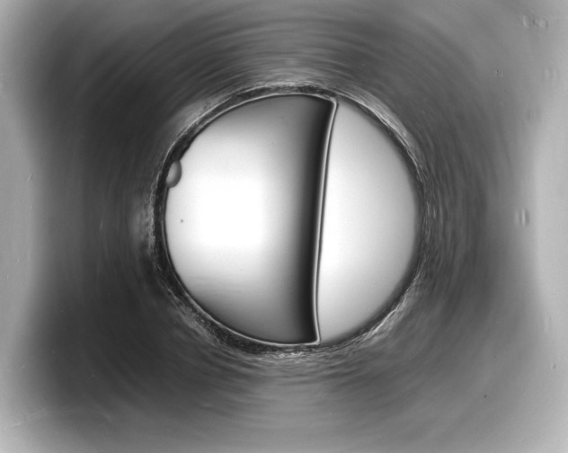 X0000098180834200804241028
