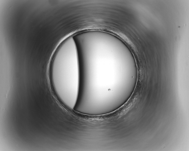 X0000098180838200804241028