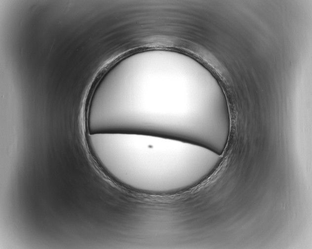 X0000098180840200804241028