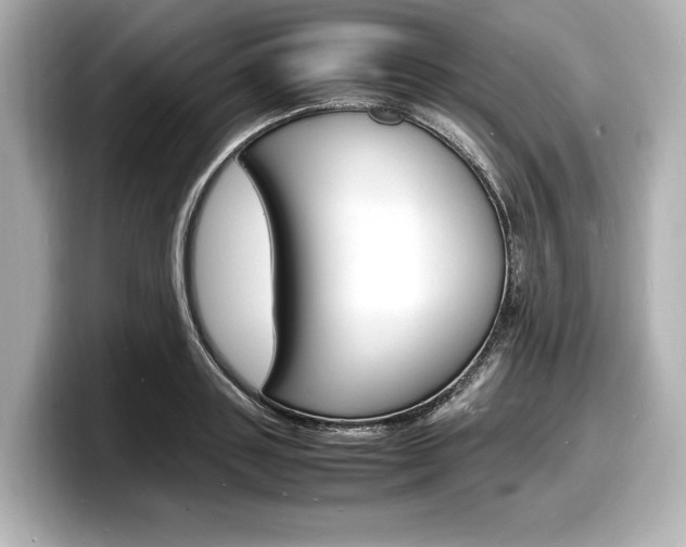 X0000098180843200804241029