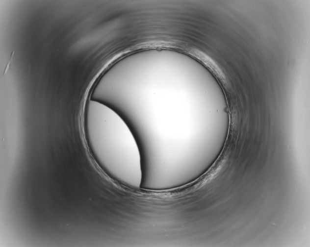 X0000098180844200804241029