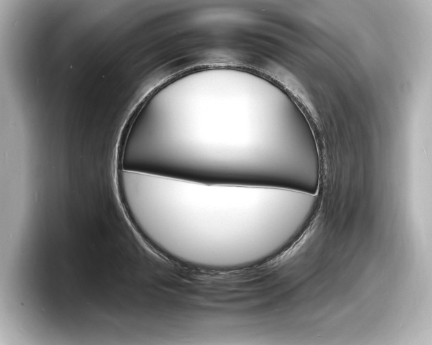 X0000098180845200804241029