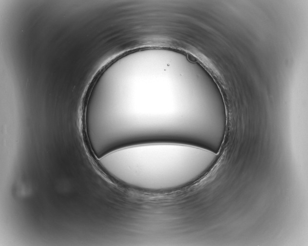 X0000098180846200804241029