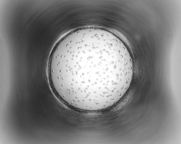 X0000098180847200804241029