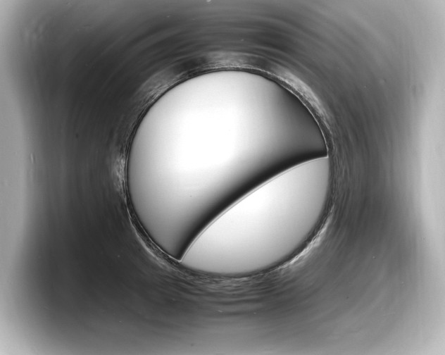 X0000098180849200804241029