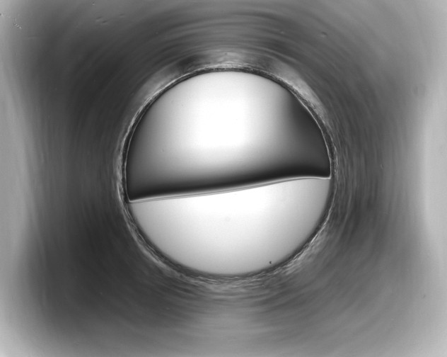 X0000098180850200804241029