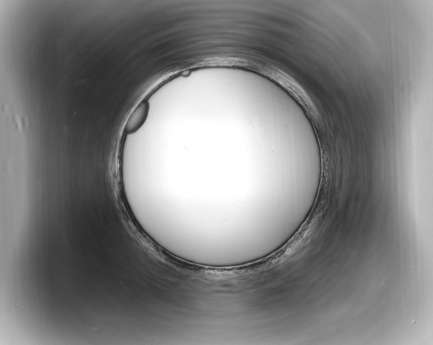X0000098180852200804241029
