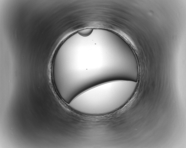 X0000098180854200804241029