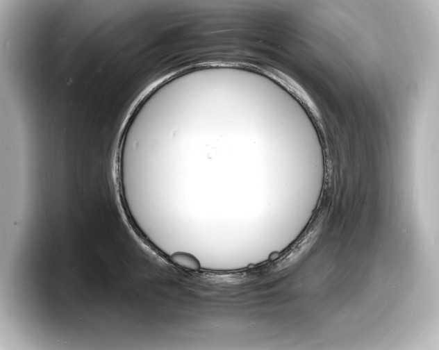 X0000098180855200804241029