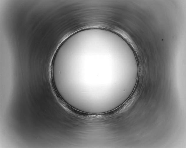 X0000098180858200804241029