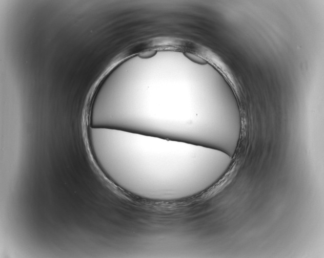 X0000098180859200804241029