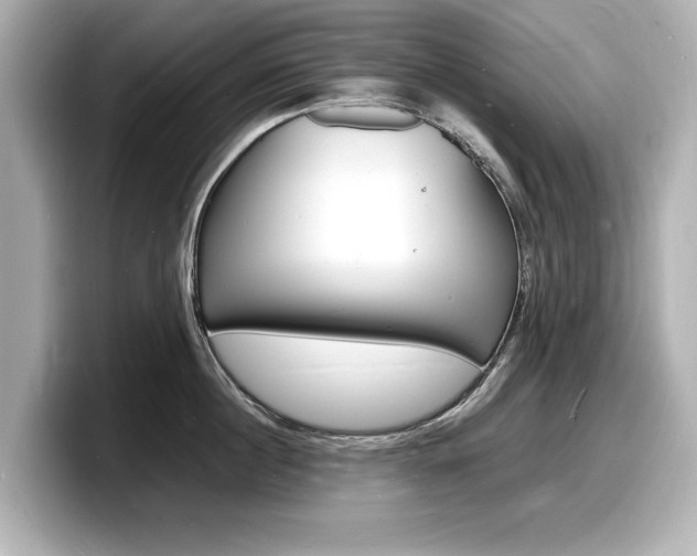 X0000098180860200804241029