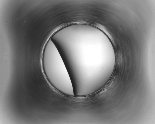 X0000098180861200804241029