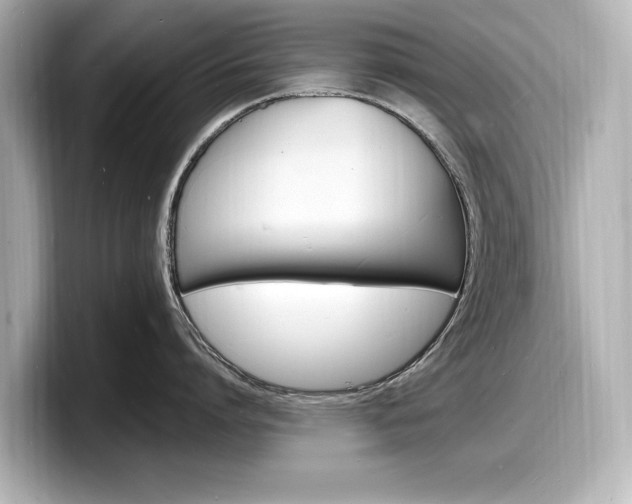 X0000098180864200804241029