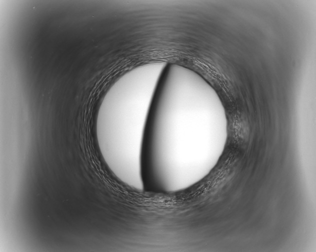 X0000098180865200804241028