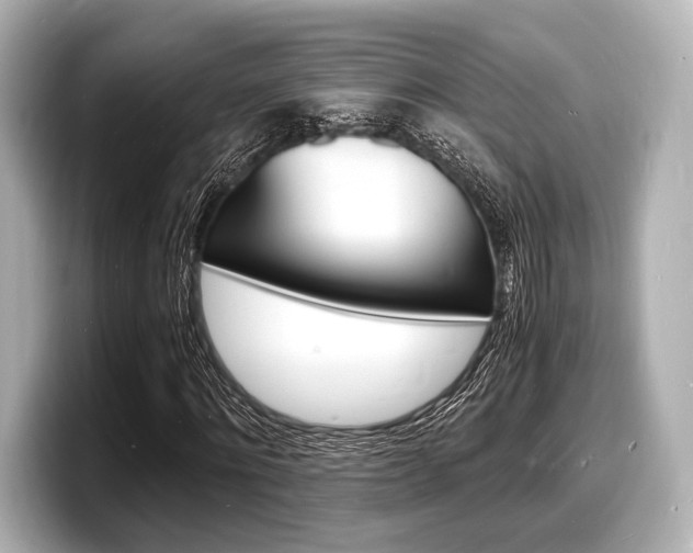 X0000098180868200804241028