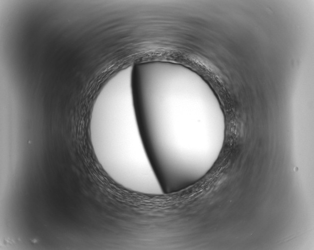 X0000098180869200804241028