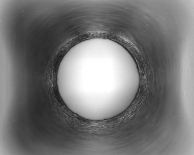 X0000098180870200804241028