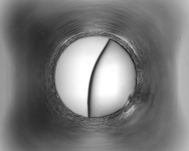 X0000098180871200804241028