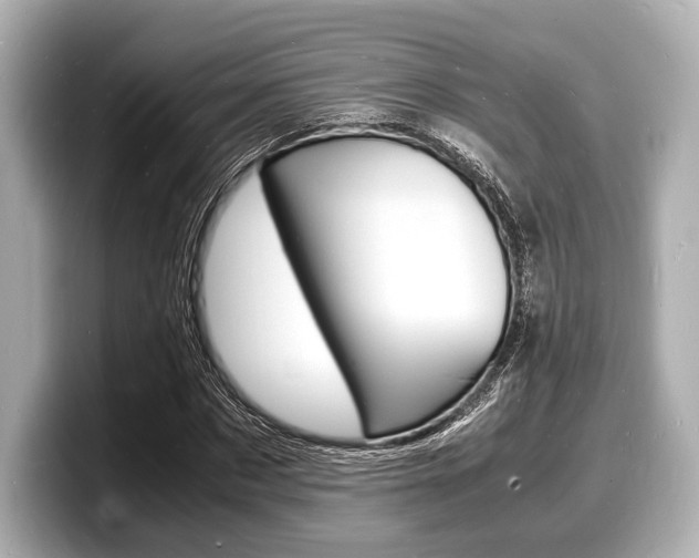 X0000098180873200804241028