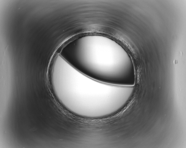 X0000098180876200804241028