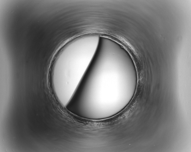 X0000098180877200804241028
