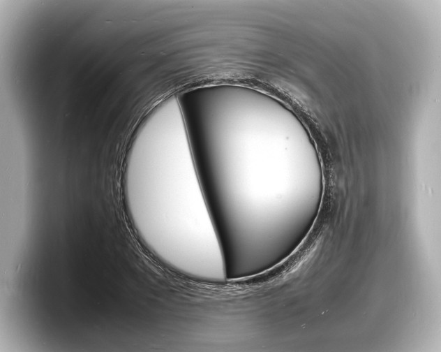 X0000098180881200804241028