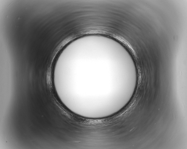 X0000098180882200804241028