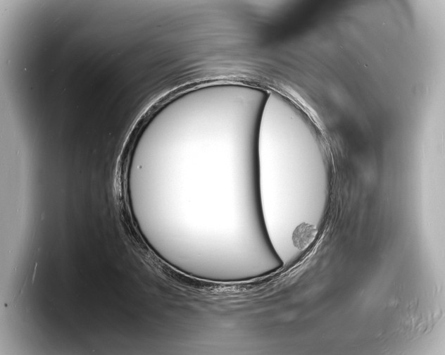 X0000098180883200804241028