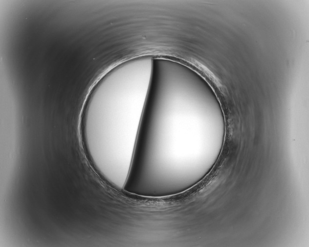 X0000098180885200804241028