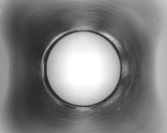 X0000098180886200804241028