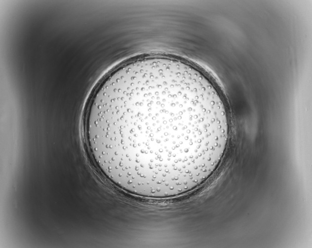 X0000098180887200804241028