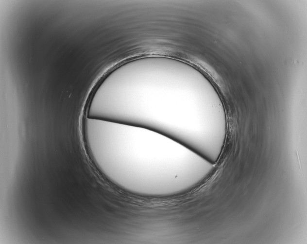 X0000098180891200804241028