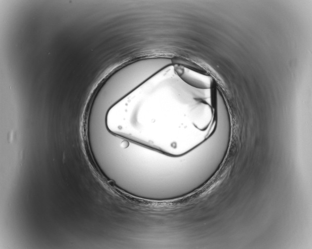 X0000098180893200804241028