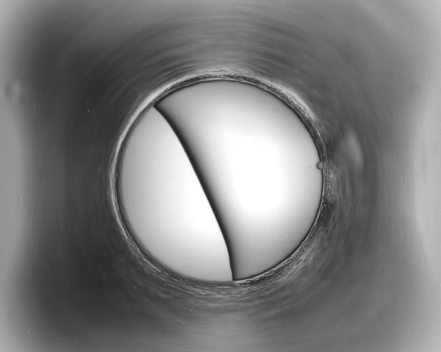 X0000098180895200804241028