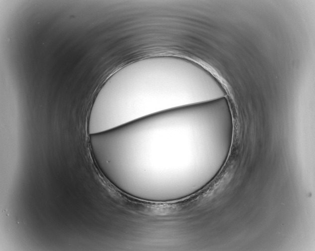 X0000098180897200804241028
