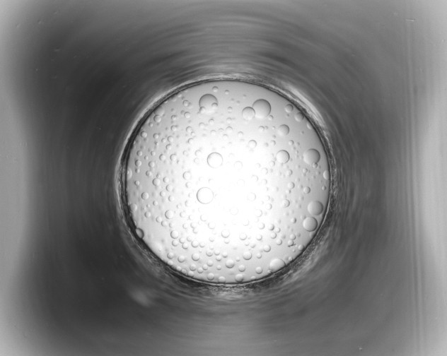 X0000098180899200804241028