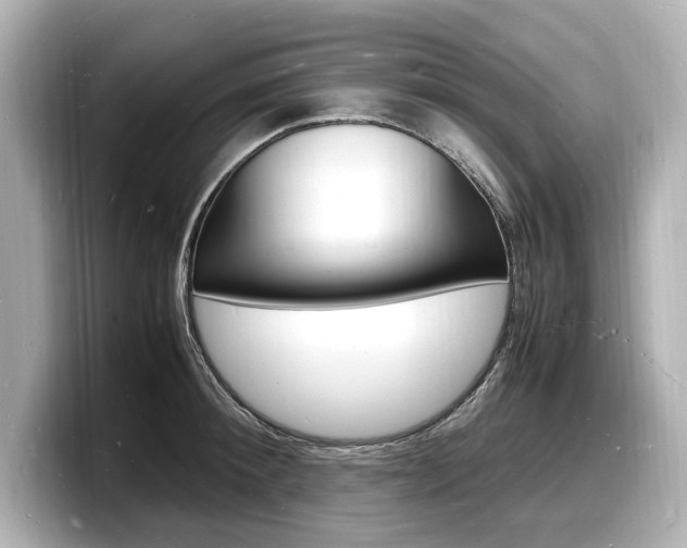 X0000098180900200804241028