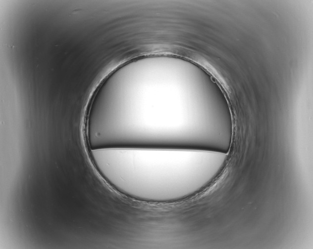 X0000098180901200804241028