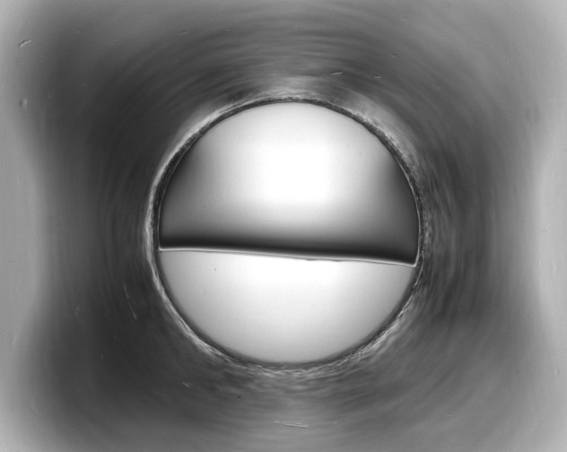 X0000098180902200804241028