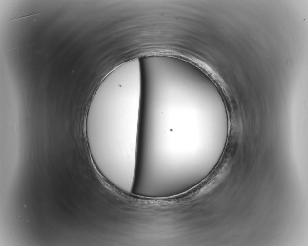 X0000098180905200804241028
