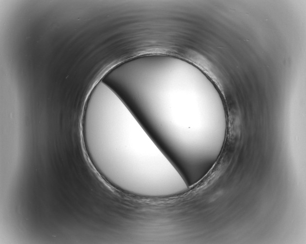 X0000098180906200804241028
