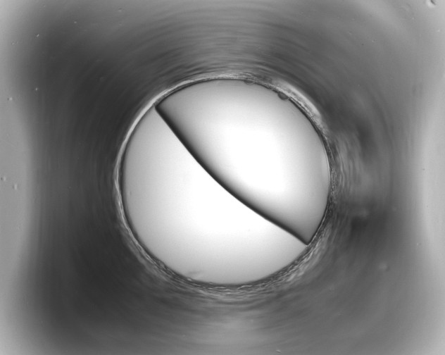 X0000098180907200804241028